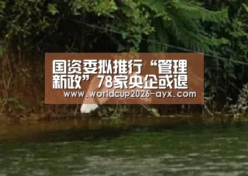 国资委拟推行“管理新政”78家央企或退出房地产“爱游戏体育官网”(图3) 爱游戏棋牌