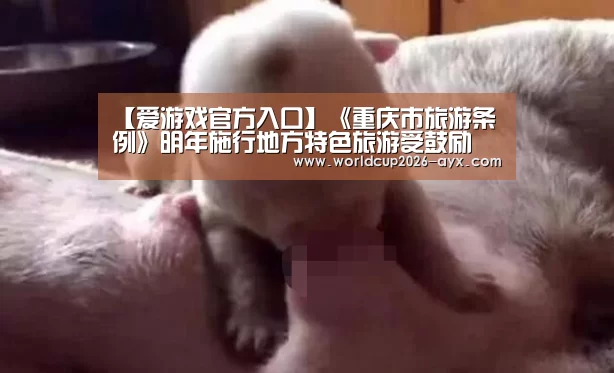 爱游戏官方入口