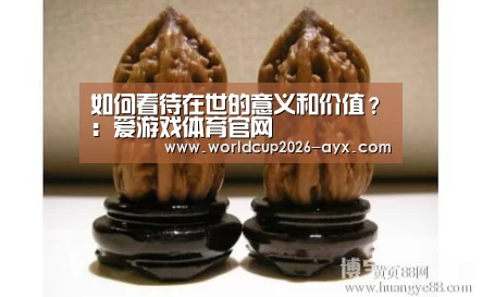 如何看待在世的意义和价值?:爱游戏体育官网(图3) 爱游戏官方入口
