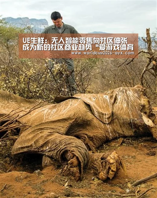 UE生鲜:无人智能零售向社区伸张 成为新的社区商业趋势“爱游戏体育官网”(图2) 爱游戏棋牌